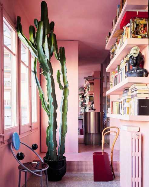 Une décoration avec des cactus - Décoration d'intérieur cactus 