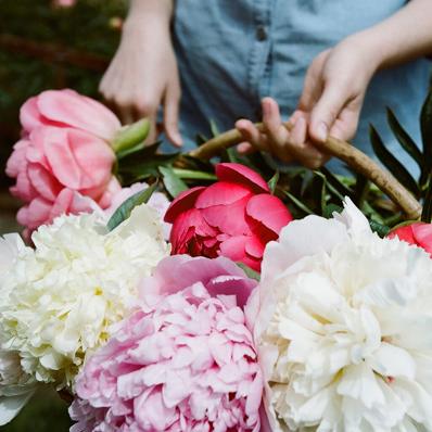 Tips For Growing Peonies