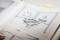 The Borsani Archives