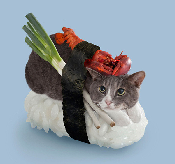 Meow Thick Sushi Cat