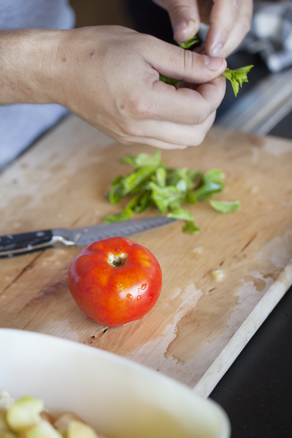 tomatoes