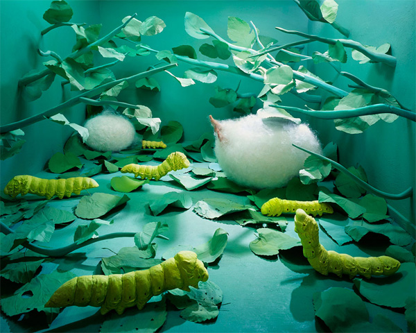 JeeYoung Lee, Opiom Gallery, Birthday