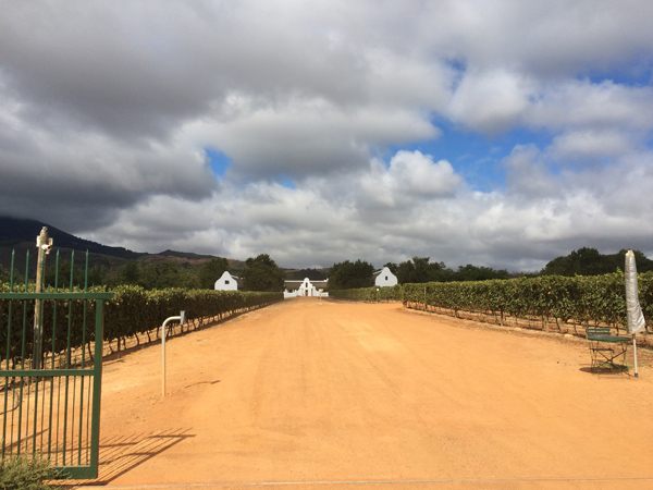 Babylonstoren - Cape Town - L’ArcoBaleno blog