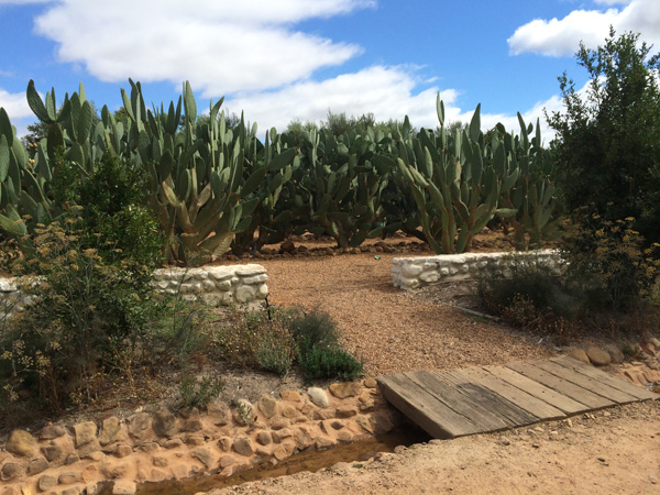 Babylonstoren - Cape Town - L’ArcoBaleno blog