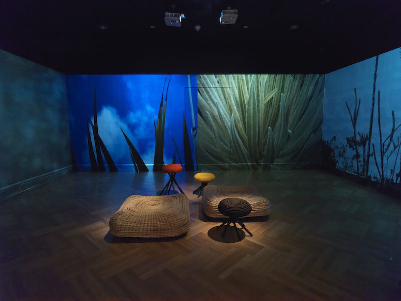 Ceci Arango's Corocora stools; Monika Bravo's Weaving Time video installation