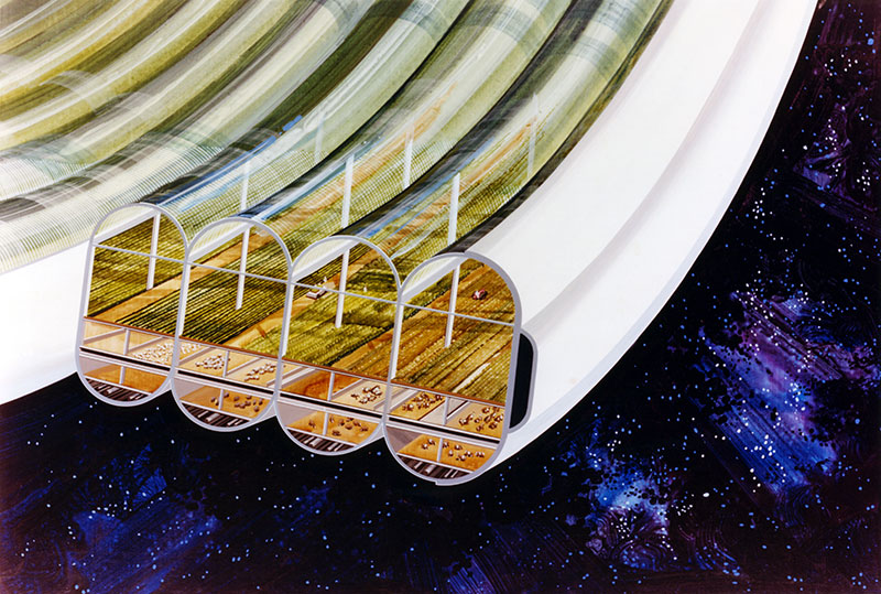 Agricultural module in cutaway view (multiple toroids). Artwork by Rick Guidice; NASA Ames Research Center