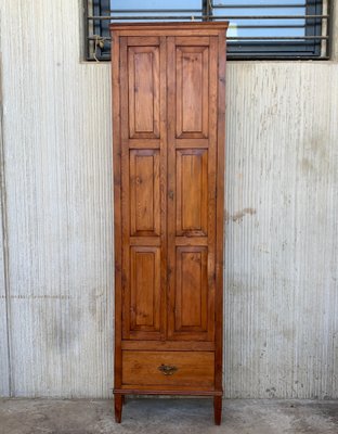 19th Century Narrow Cupboard or Cabinet in Walnut