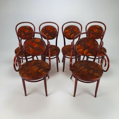 Cherry Coloured Bentwood Dining Chairs, 1970s, Set of for sale - Main Image