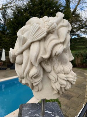 Buste Dieu Romain Moderne - Statue Déco Résine Pour Maison - Style Hydroponique