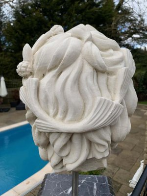 Statue Hydroponique Dieu ,décoration Maison , Sculture Buste