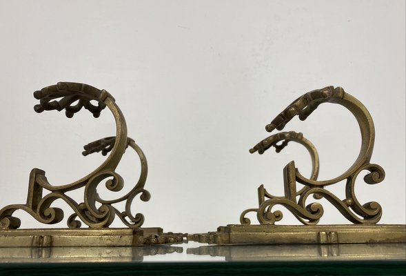 Antique French Bronze Coat Hooks, 1900s, Set of 4