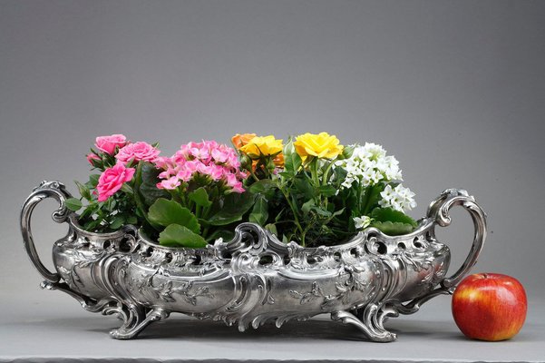 Louis XV Style Silver Plated Bronze Jardinière, 19th Century for