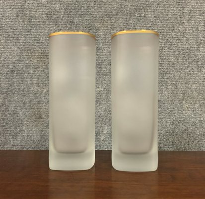 Vases En Verre Depoli Annees 1930 Lot De 2 For Sale At Pamono