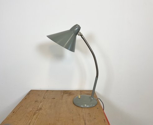 harpoen verontreiniging Mijnenveld Industrial Grey Gooseneck Table Lamp from Hala, 1960s for sale at Pamono