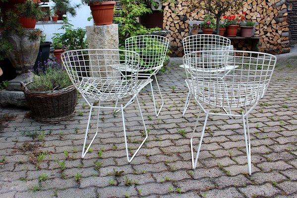 White bertoia online chair