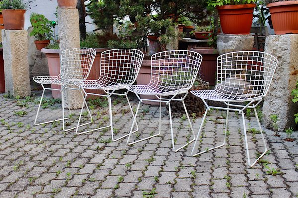 Mid Century Modern White Chairs from Harry Bertoia 1950s Set of