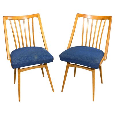 Victoria Paris Gold Chair Victoria Paris Gold Chair