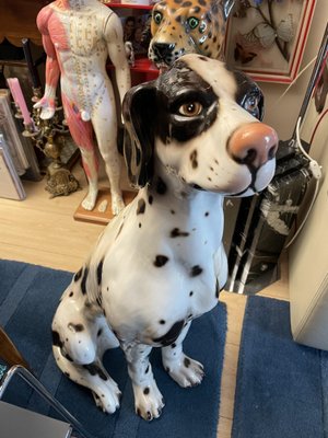 Large dalmatian hot sale