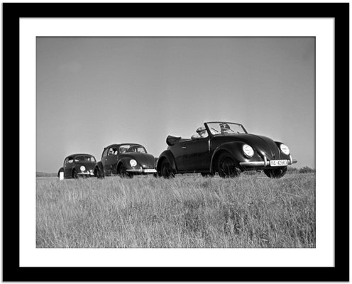 Three Models of the Volkswagen Beetle, Germany, 1938