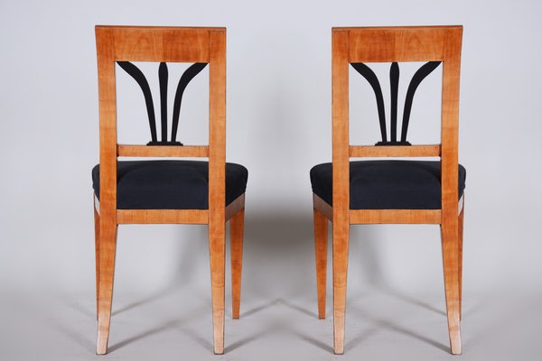 Modern cherry clearance dining chairs