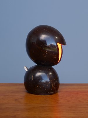 Coconut shell cheap table lamp