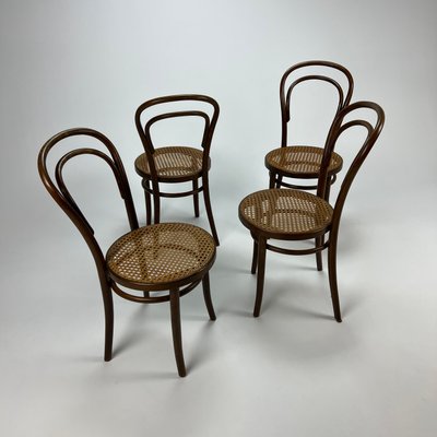 Mid Century Bentwood Cane Dining Chairs by Michael Thonet for