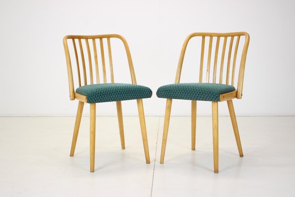 Dining Chairs by Antonin Suman Czechoslovakia 1960s Set of 6