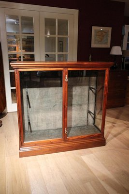 Antique mahogany display cabinets on sale with glass doors