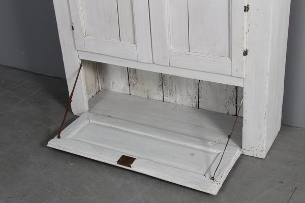 Primitive store wall cabinet