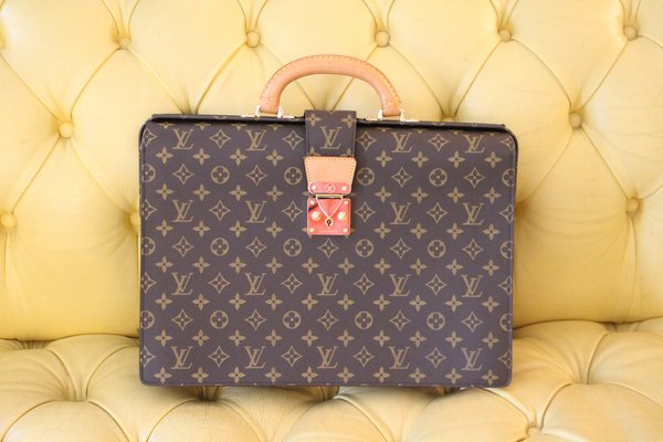 louis vuitton document case