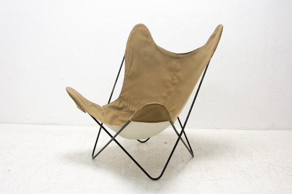 Classic store butterfly chair