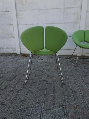 Little Apollo Chairs by Patrick Norguet for Artifort Set of 5