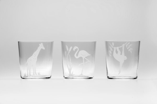 Jungle glasses new arrivals