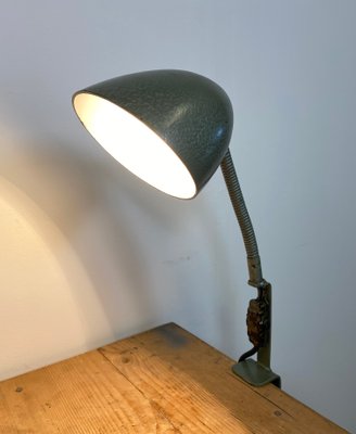 Green Industrial Bakelite Gooseneck, Vintage Style Gooseneck Floor Lamp