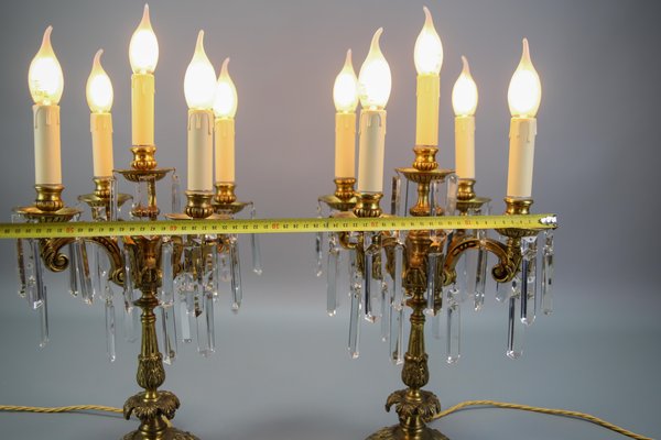 French Louis XVI Style Bronze and Crystal Candelabra Table Lamps