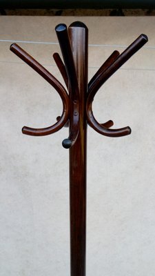 Perchero de madera curvada en venta en Pamono