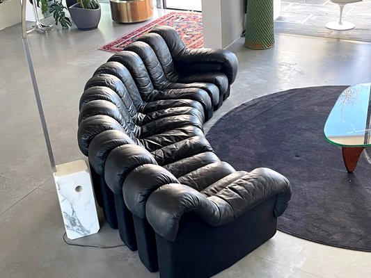 DS-600 Tatzelwurm Sofa in Leather from 