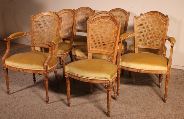Century chairs for sale outlet