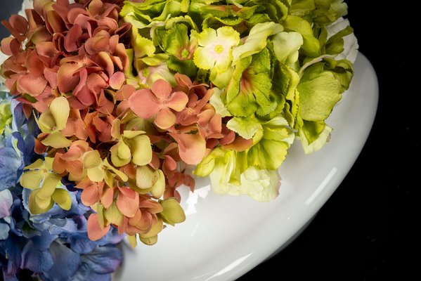 Hydrangea in italian new arrivals