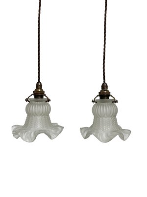 Vintage French Floral Frosted Glass 