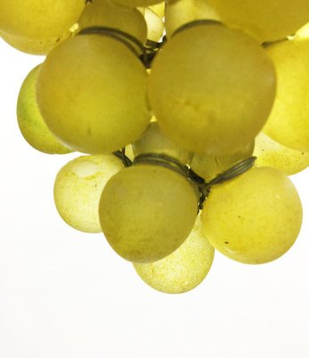 Art Glass Grape Pendant Lamp, 20th Century for sale at Pamono