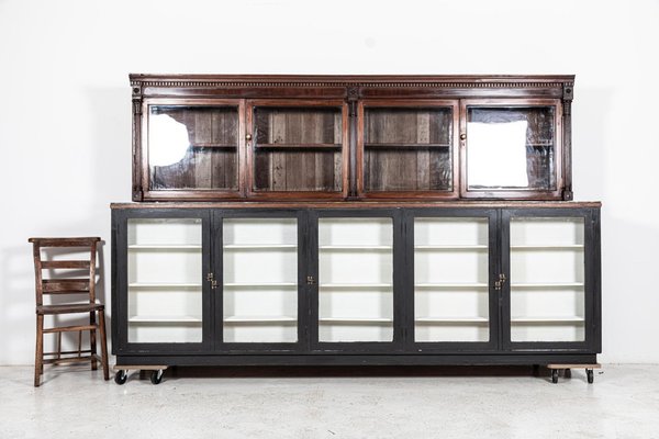 Large 19th Century English Glazed Apothecary Wall Cabinet in