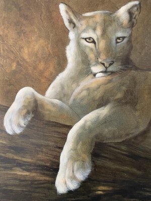 puma 2010