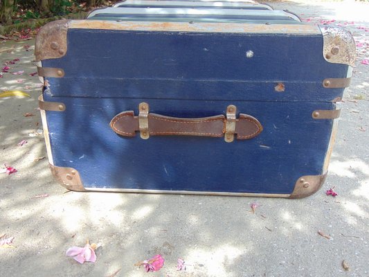 Vintage Travel Trunk for sale at Pamono