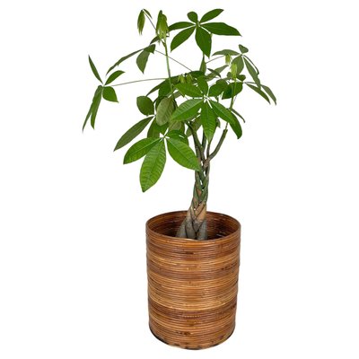 Bamboo Wicker Houseplant Planter Basket Wicker flower Vase