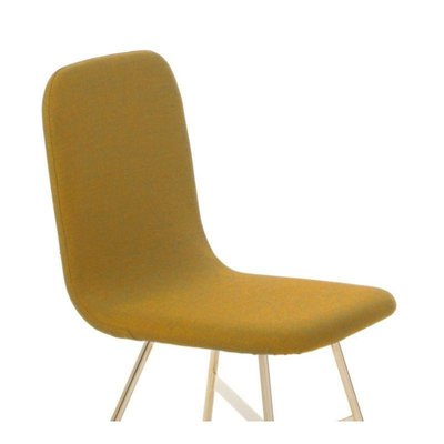 Curry Tria Gold Upholstered Dining, Pictures Of Gold Upholstered Dining Chairs