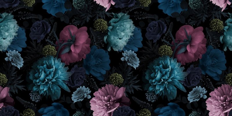 Marinavorontsova, Nahtloses mit Blumenmuster, mehrfarbige Glowers Pfingstrosen auf einem schwarzen Hintergrund, Fotopapier