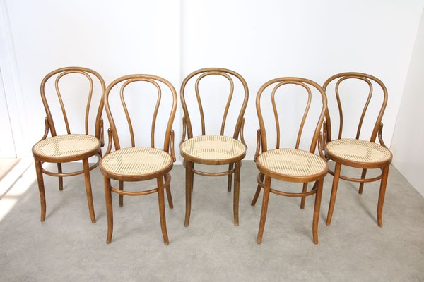 Colorful dining chairs for sale outlet