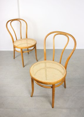 Set of 18 Wide Chairs by Michael Thonet for sale at Pamono