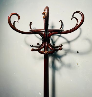 Art Nouveau Brown Beech Coat Rack for sale at Pamono